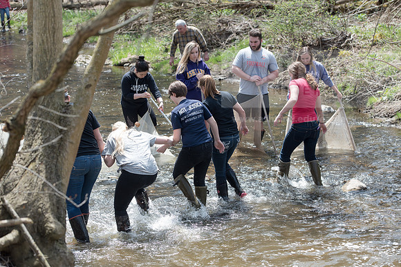 Biology Stream Clean Up - Canfield Preserve