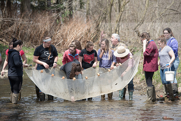 Biology Stream Clean Up - Canfield Preserve