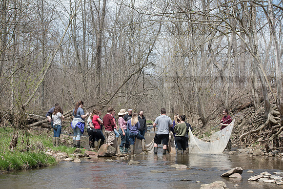 Biology Stream Clean Up - Canfield Preserve