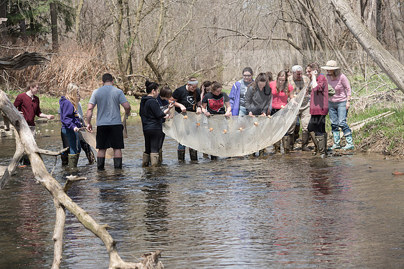 Biology Stream Clean Up - Canfield Preserve