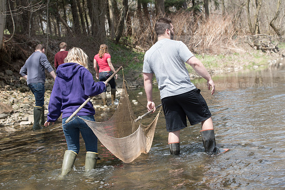 Biology Stream Clean Up - Canfield Preserve