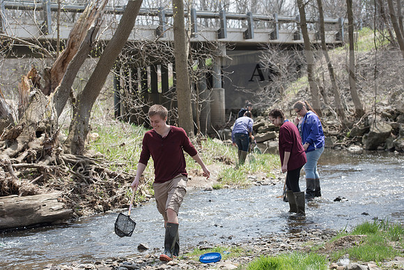 Biology Stream Clean Up - Canfield Preserve