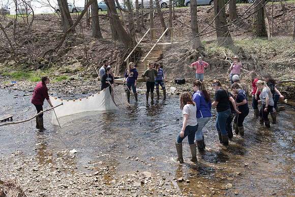Biology Stream Clean Up - Canfield Preserve