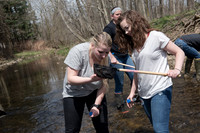 Biology Stream Clean Up - Canfield Preserve