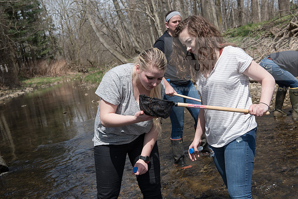 Biology Stream Clean Up - Canfield Preserve