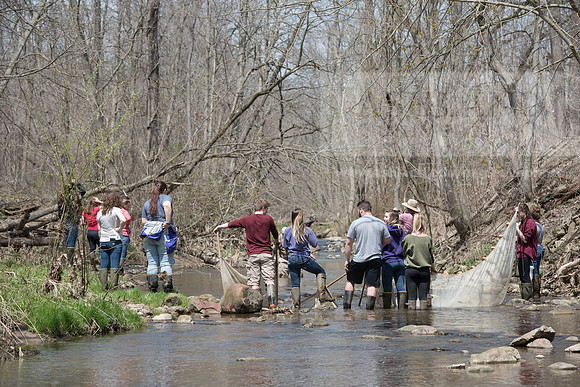 Biology Stream Clean Up - Canfield Preserve