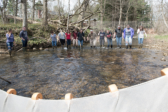 Biology Stream Clean Up - Canfield Preserve