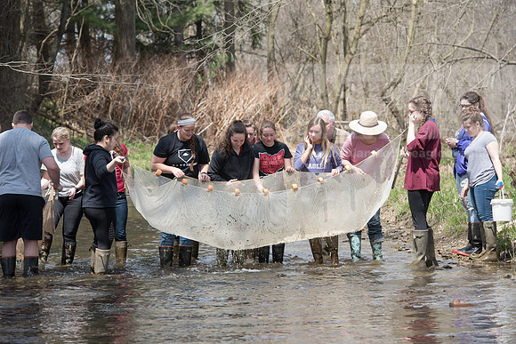 Biology Stream Clean Up - Canfield Preserve