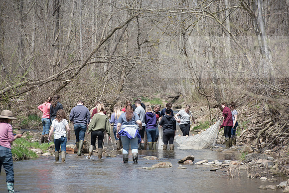 Biology Stream Clean Up - Canfield Preserve