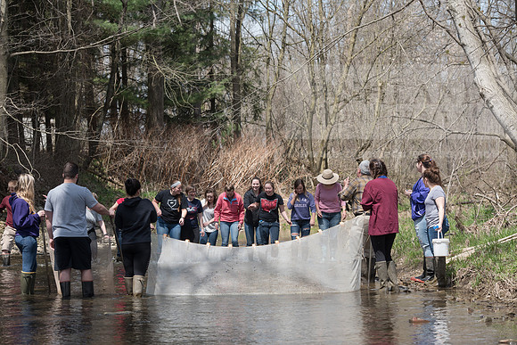 Biology Stream Clean Up - Canfield Preserve