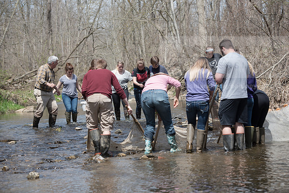 Biology Stream Clean Up - Canfield Preserve
