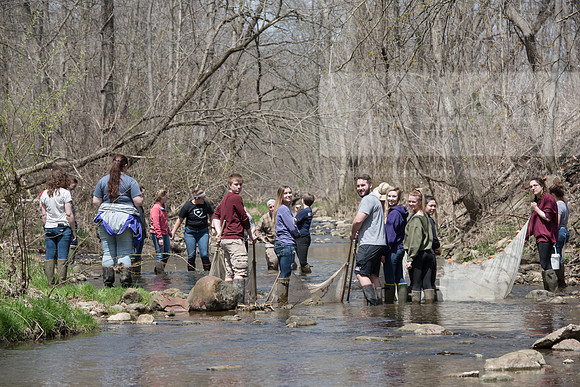Biology Stream Clean Up - Canfield Preserve
