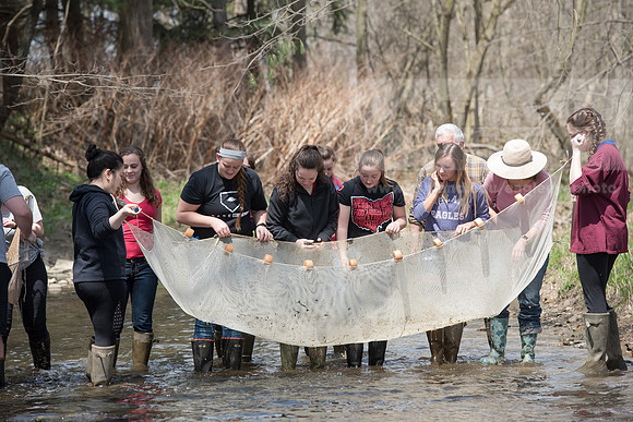 Biology Stream Clean Up - Canfield Preserve