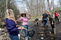 Biology Stream Clean Up - Canfield Preserve