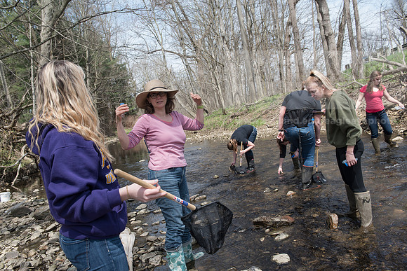 Biology Stream Clean Up - Canfield Preserve