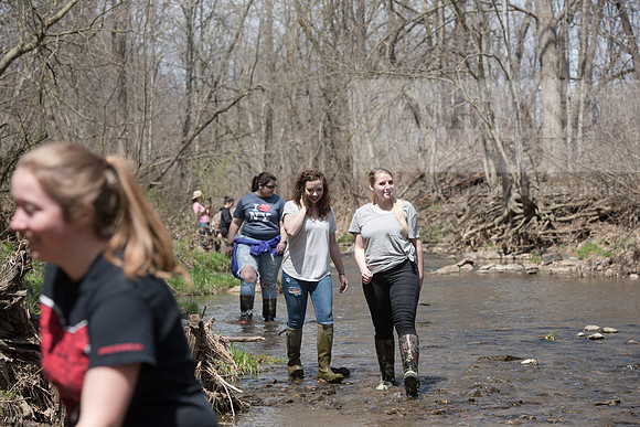 Biology Stream Clean Up - Canfield Preserve