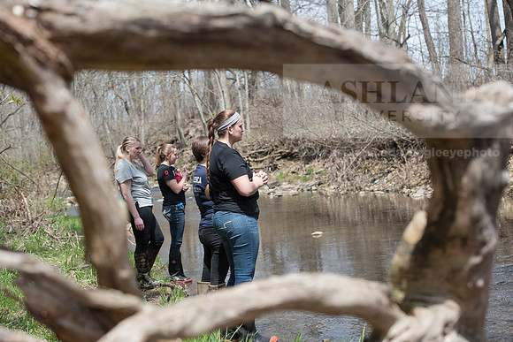 Biology Stream Clean Up - Canfield Preserve
