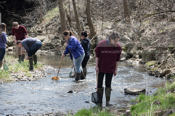 Biology Stream Clean Up - Canfield Preserve