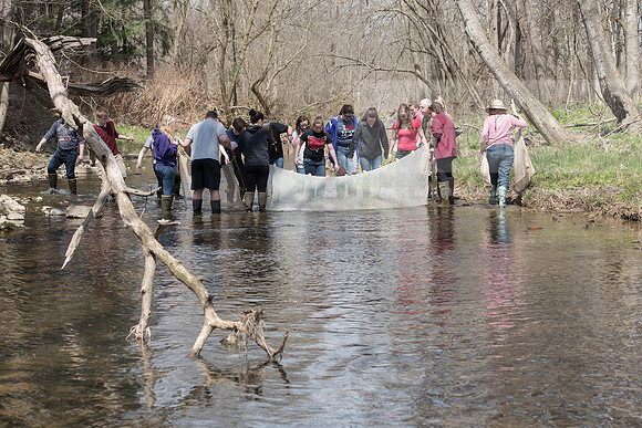 Biology Stream Clean Up - Canfield Preserve