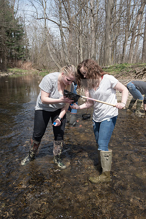 Biology Stream Clean Up - Canfield Preserve