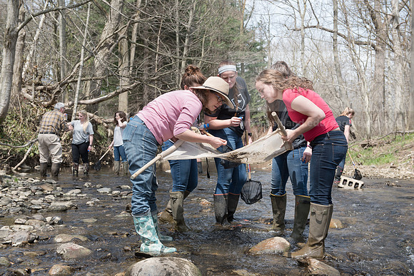 Biology Stream Clean Up - Canfield Preserve