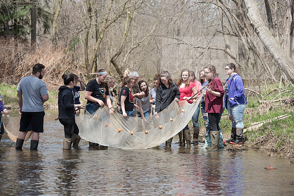 Biology Stream Clean Up - Canfield Preserve