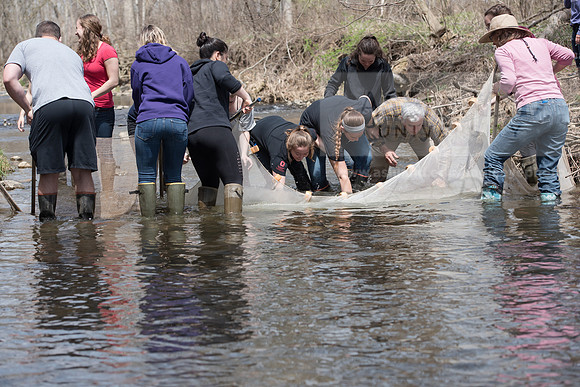 Biology Stream Clean Up - Canfield Preserve