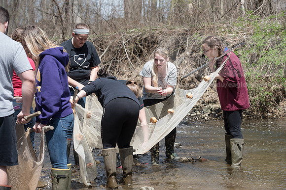 Biology Stream Clean Up - Canfield Preserve