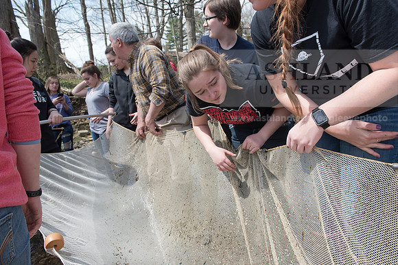 Biology Stream Clean Up - Canfield Preserve
