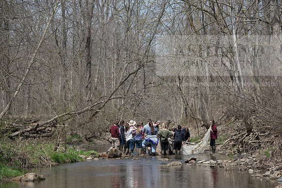 Biology Stream Clean Up - Canfield Preserve