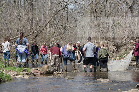 Biology Stream Clean Up - Canfield Preserve