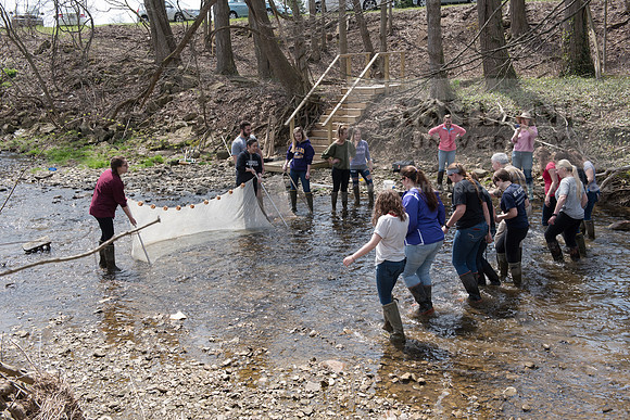 Biology Stream Clean Up - Canfield Preserve