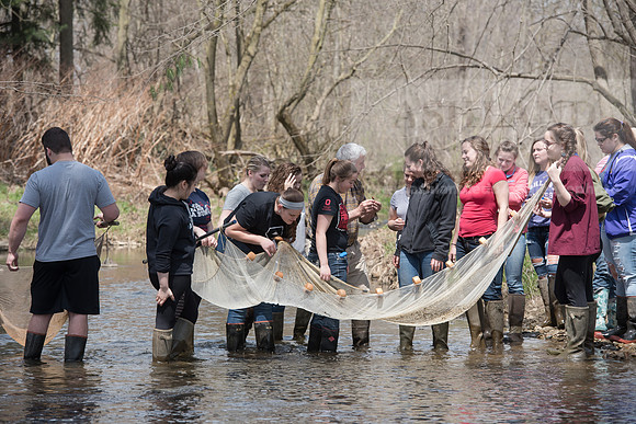 Biology Stream Clean Up - Canfield Preserve