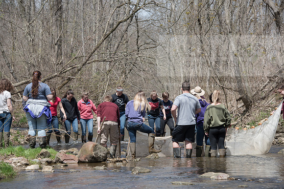 Biology Stream Clean Up - Canfield Preserve