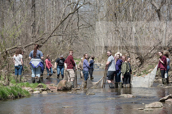 Biology Stream Clean Up - Canfield Preserve