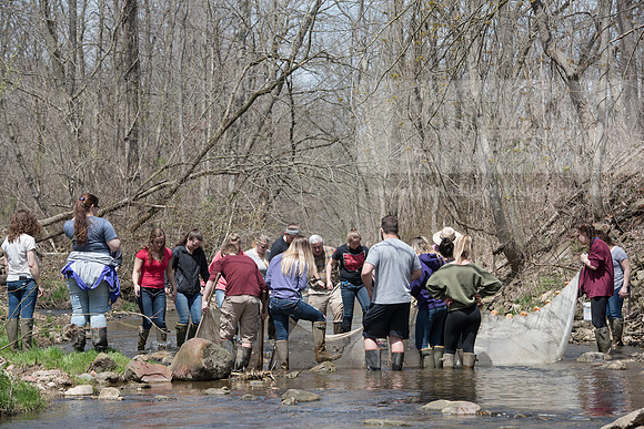 Biology Stream Clean Up - Canfield Preserve