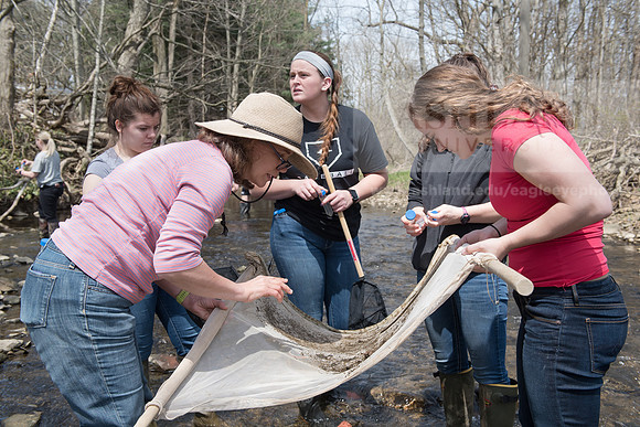 Biology Stream Clean Up - Canfield Preserve