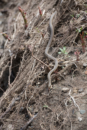 Biology Stream Clean Up - Canfield Preserve