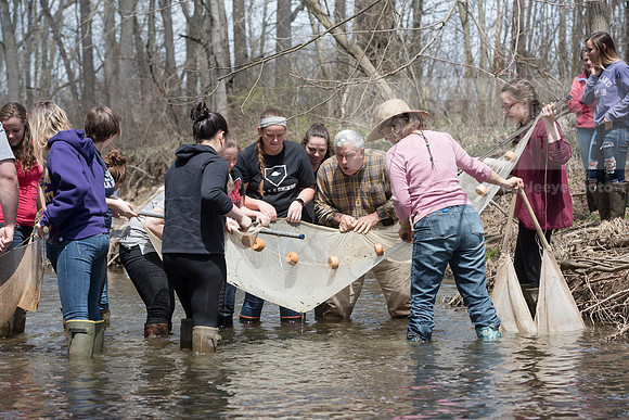 Biology Stream Clean Up - Canfield Preserve