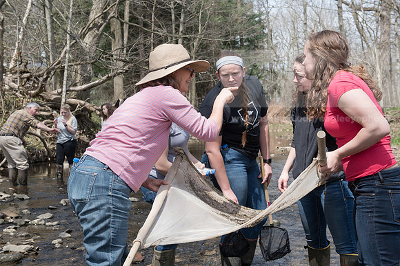 Biology Stream Clean Up - Canfield Preserve