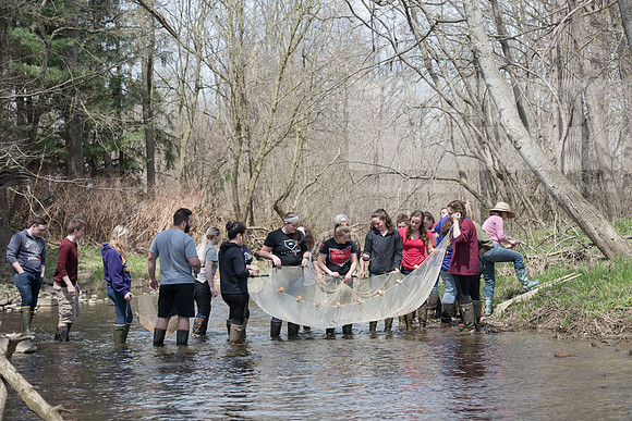 Biology Stream Clean Up - Canfield Preserve