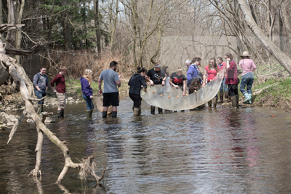 Biology Stream Clean Up - Canfield Preserve