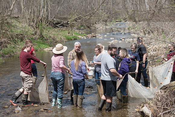 Biology Stream Clean Up - Canfield Preserve