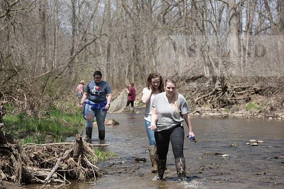 Biology Stream Clean Up - Canfield Preserve