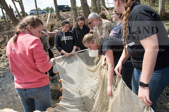Biology Stream Clean Up - Canfield Preserve