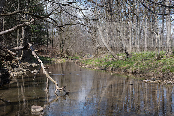 Biology Stream Clean Up - Canfield Preserve