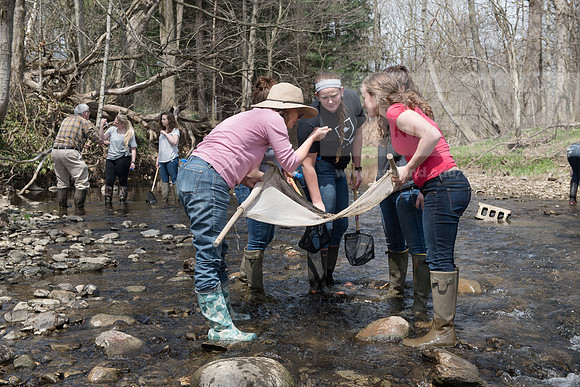 Biology Stream Clean Up - Canfield Preserve