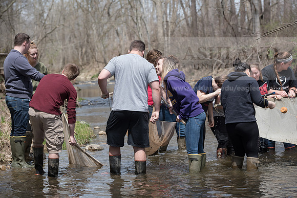 Biology Stream Clean Up - Canfield Preserve