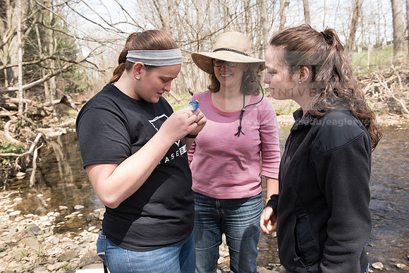 Biology Stream Clean Up - Canfield Preserve