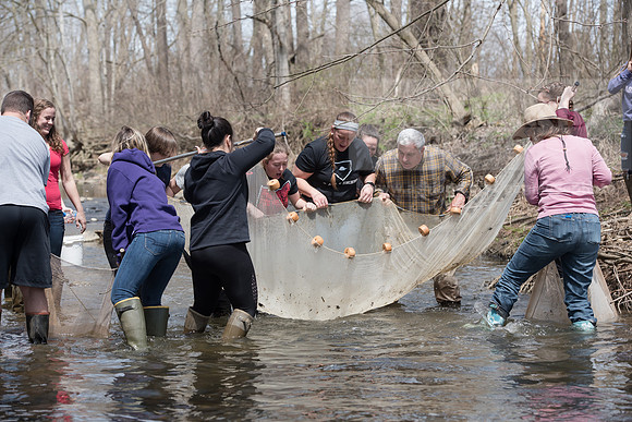 Biology Stream Clean Up - Canfield Preserve